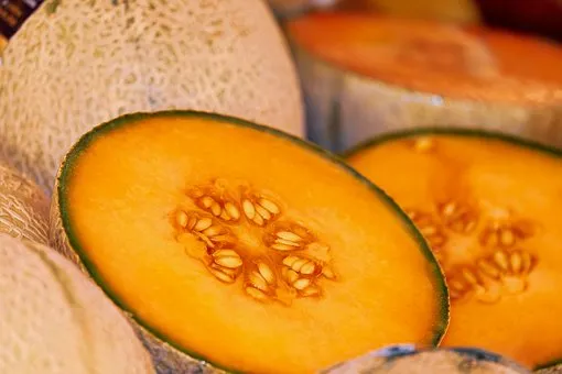 Marché traditionnel d ... - Crédit: @perigordnoir sud dordogne | CC BY-NC-ND 4.0