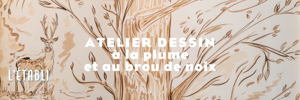 Atelier : Dessin à la plume et au brou de noix