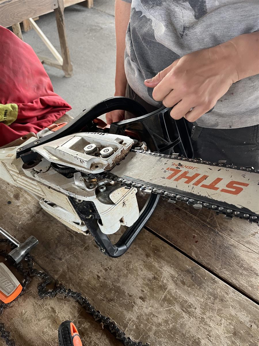 Atelier j’ose tronçonner – Journée des droits  ...