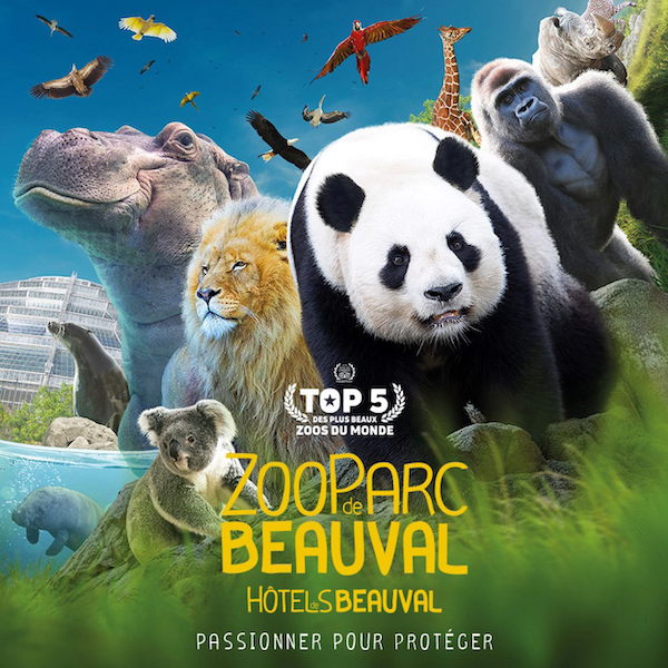 Voyage au Zoo de Beauval