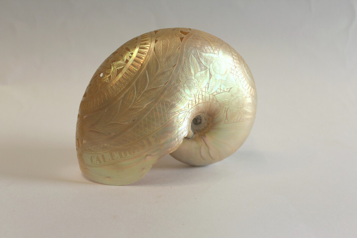 Les jeudis du musée : Les collections océaniennes