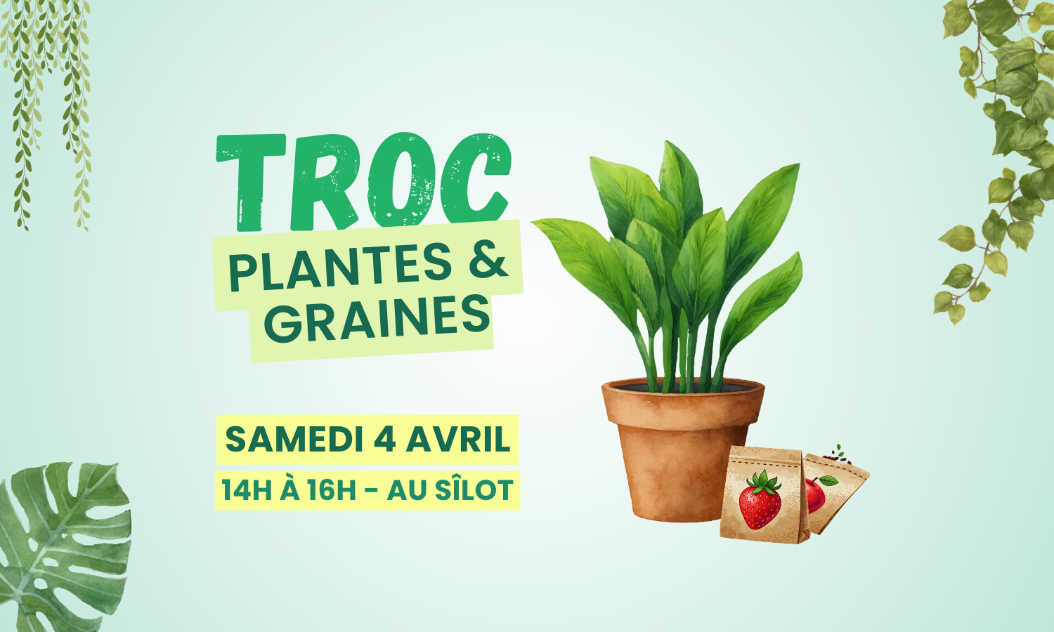 🌱 Troc de plantes & graines au Sîlot 🌿
