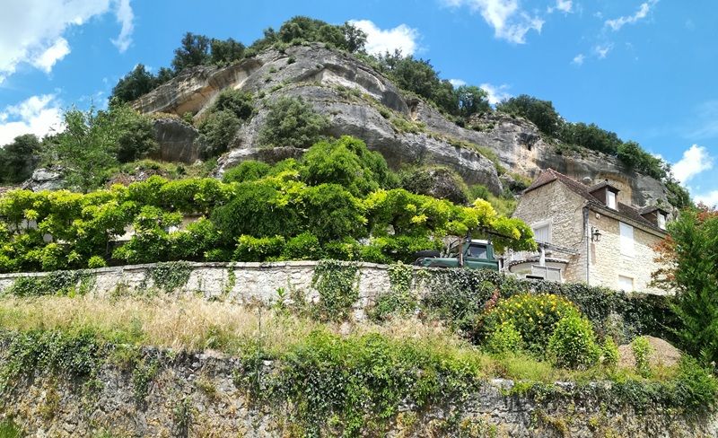Printemps de la biodiversité - La flore sauvag ...