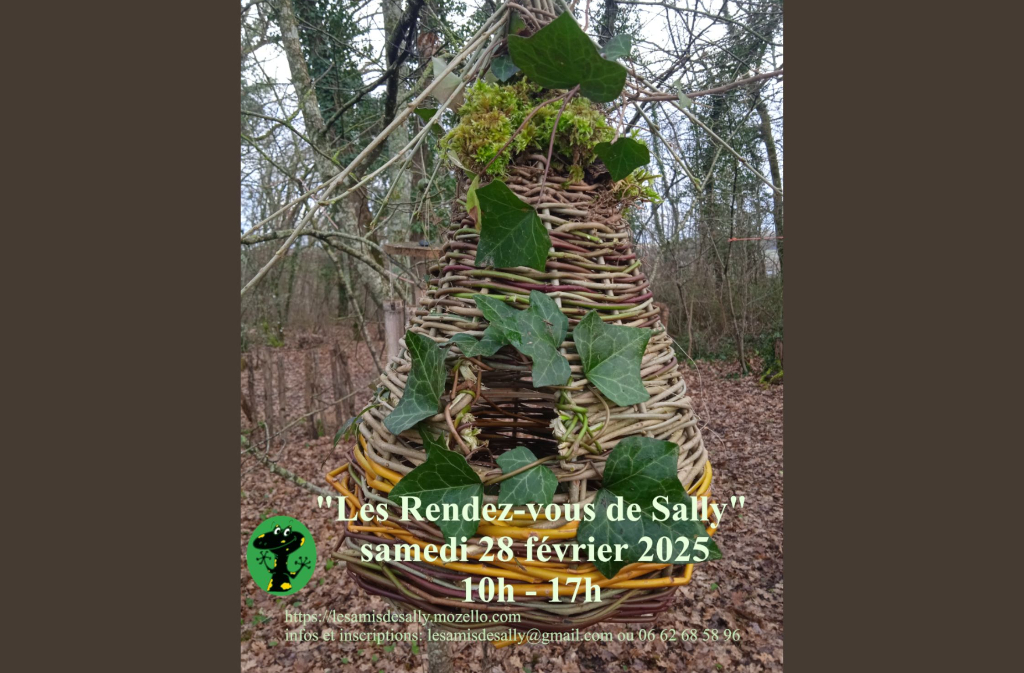 Les Rendez-vous de Sally