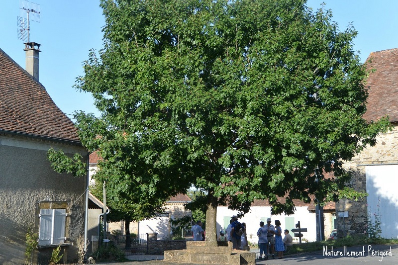 Rando repas à Gandumas