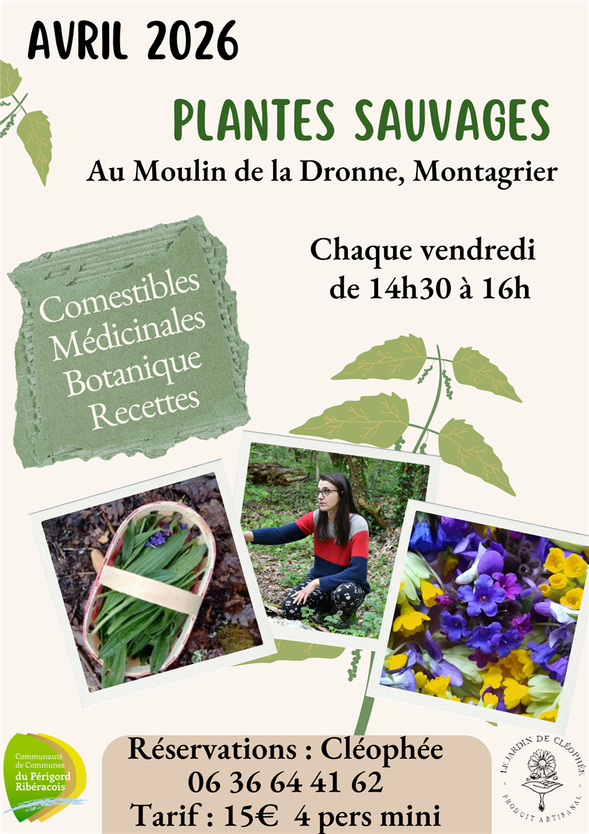 Atelier plantes sauvages