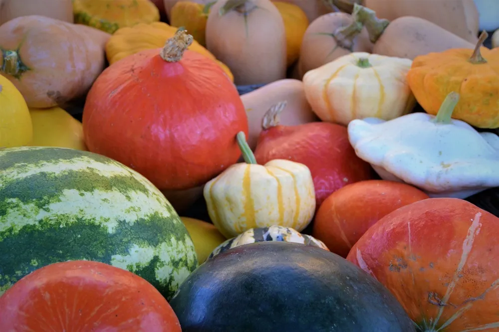 Marché traditionnel h ... - Crédit: Naturellement Périgord | CC BY-NC-ND 4.0