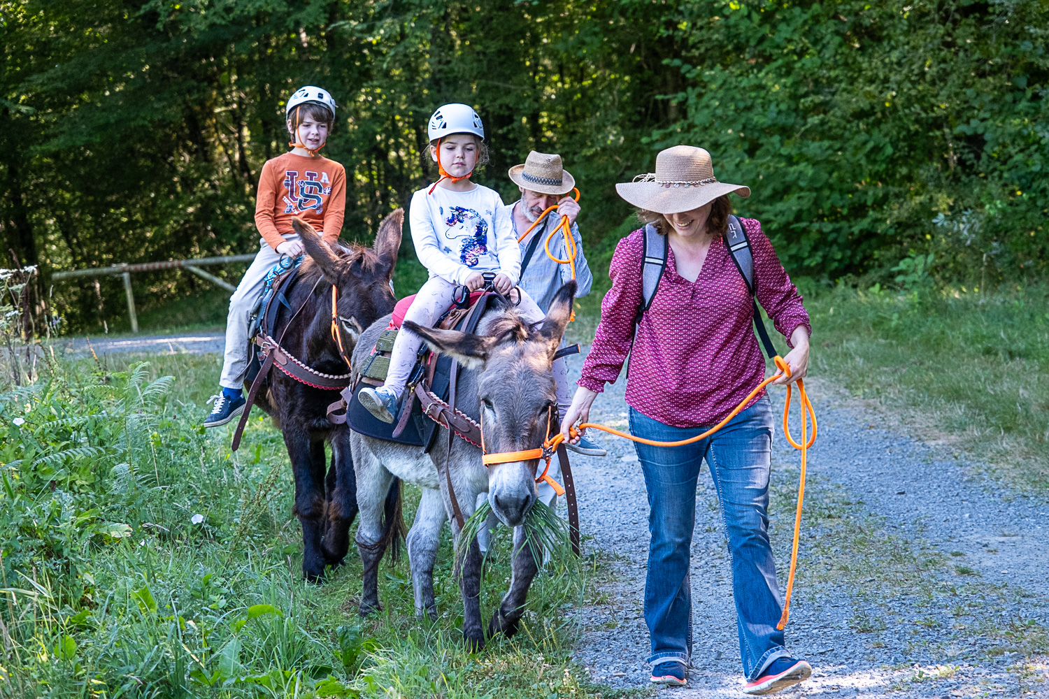 Été actif - balade avec un âne