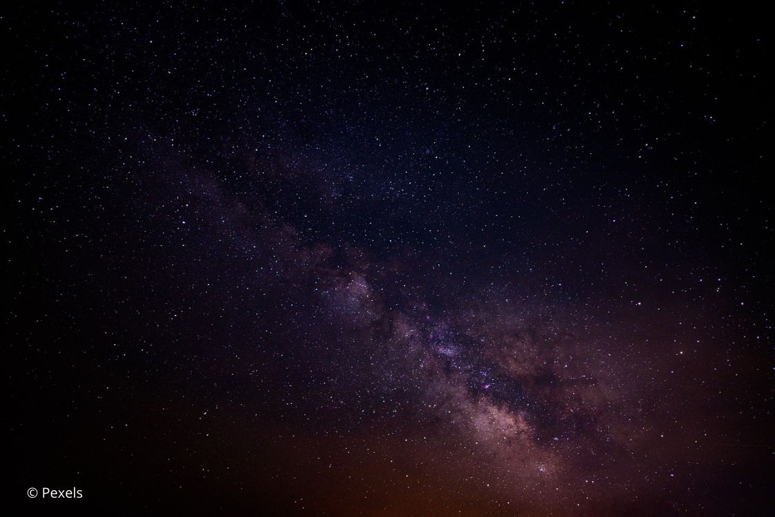 Balade nocturne : à la rencontre des merveille ...