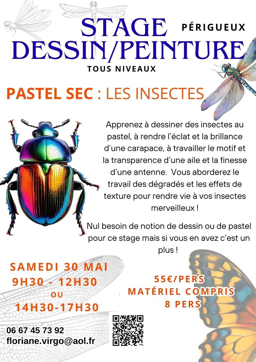 Stage dessin-peinture : Pastel sec - Les insectes