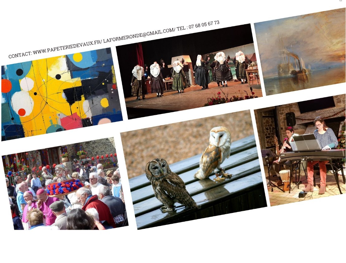 À la découverte des chouettes