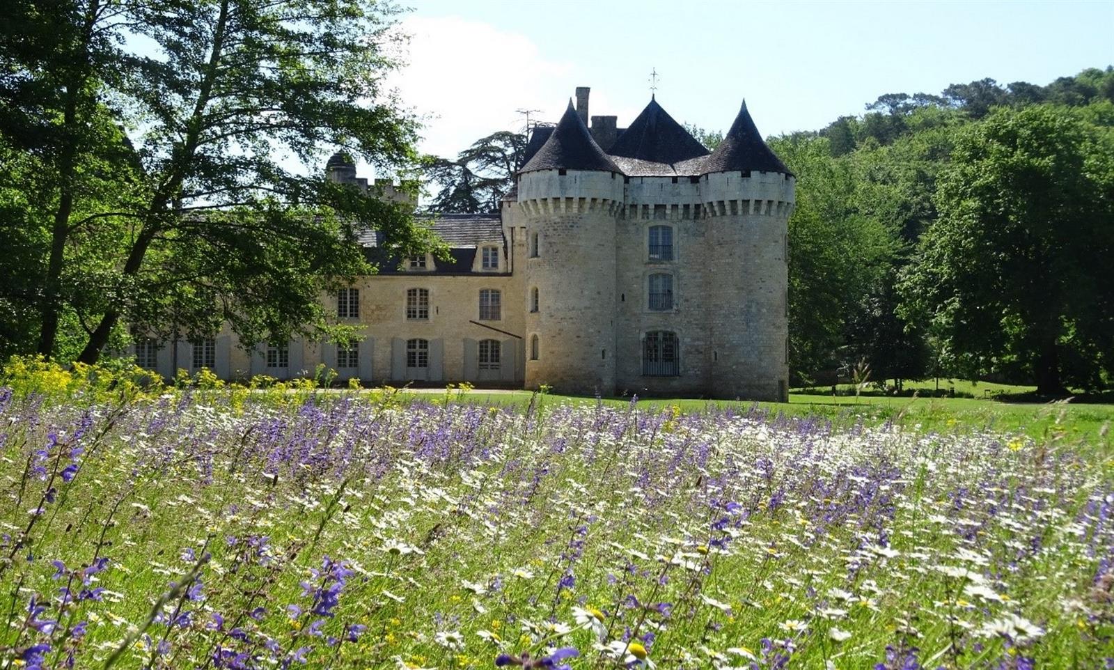 Chasse aux oeufs dans le parc du Château de Ca ...