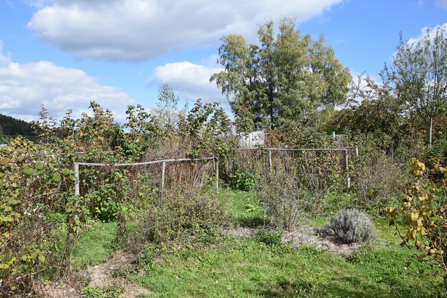 Mercredi en famille : jardinage, poissons d'av ...
