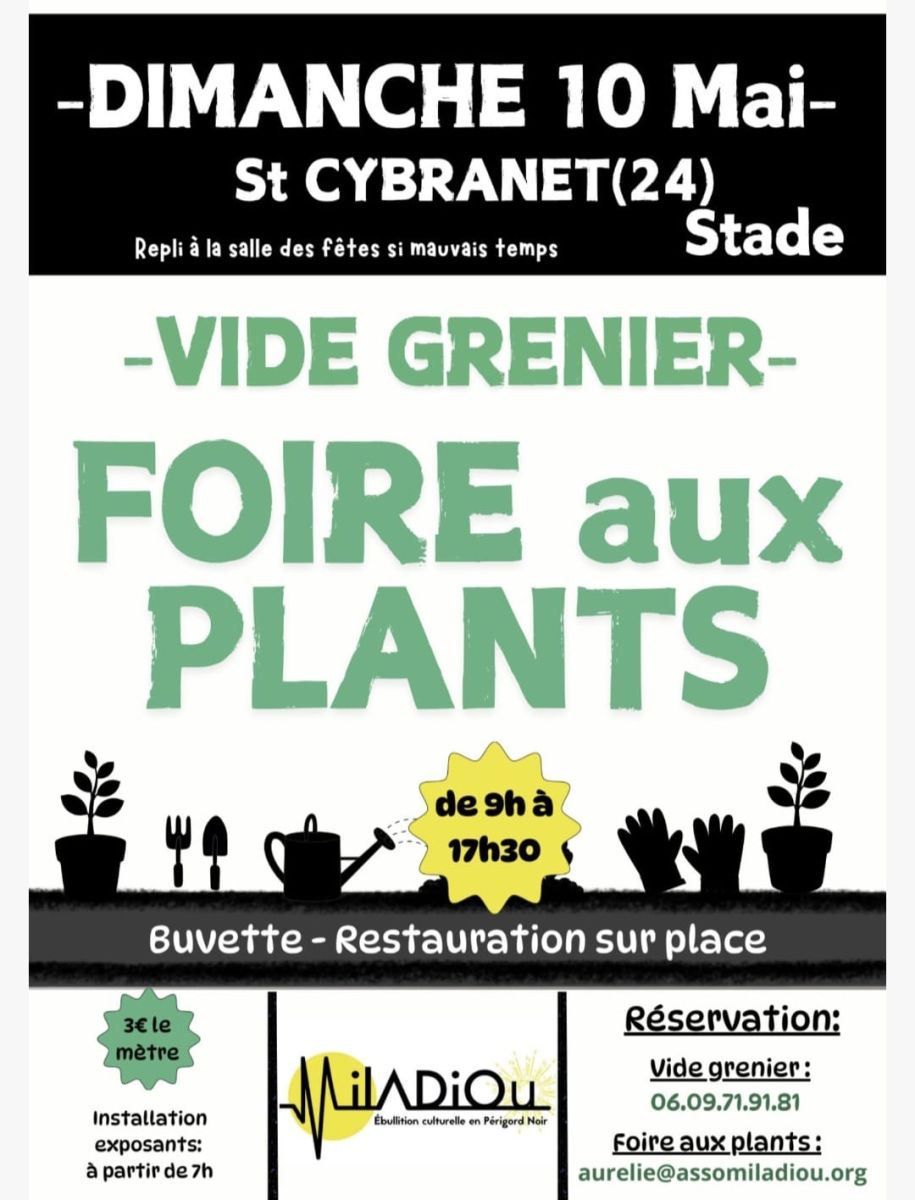 Foire aux plants et vide grenier