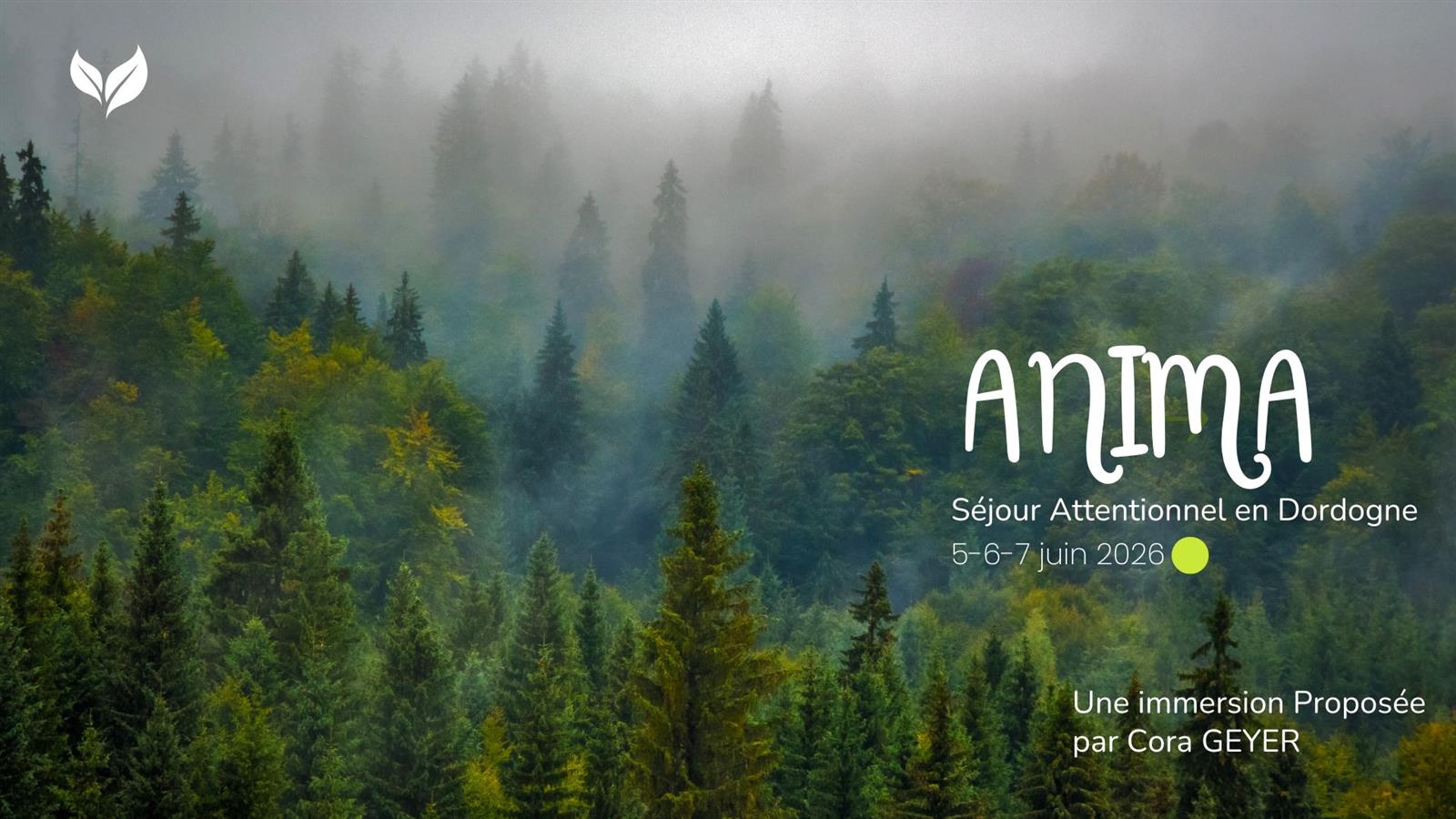 Séjour attentionnel