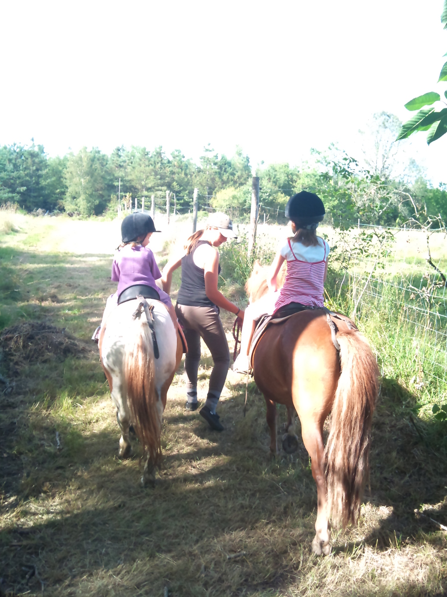 Journée nature & cheval