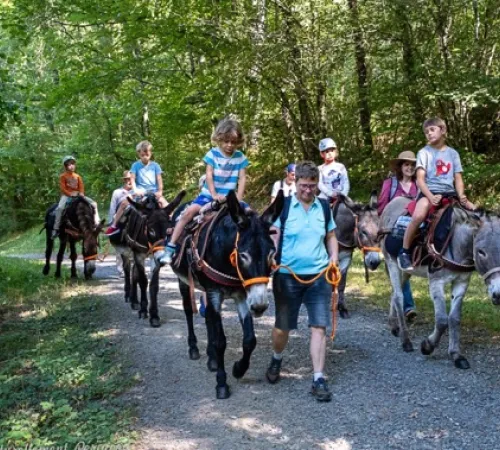 Balade à dos d’âne en famille