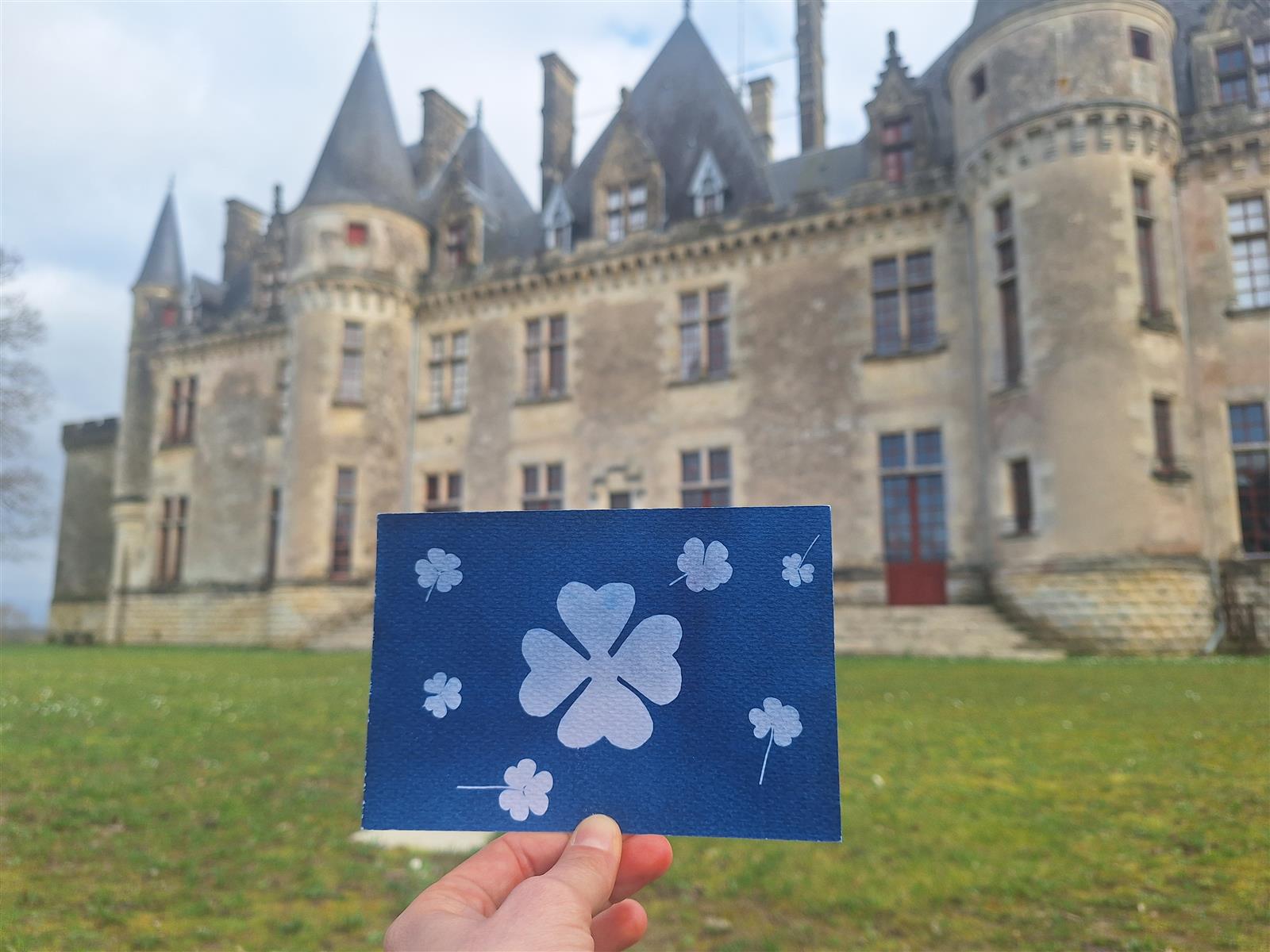 Atelier Cyanotype au château de Montaigne
