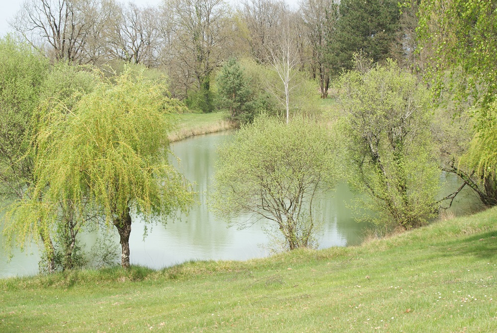 Journée d'ouverture de la pêche