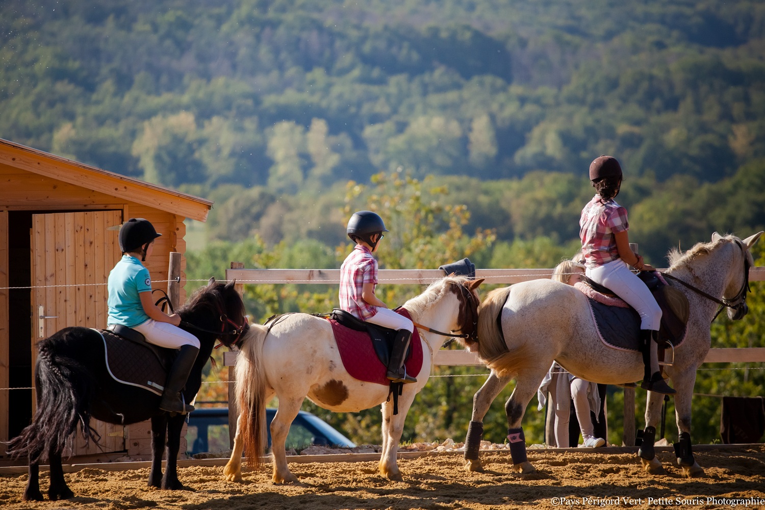 Week-end bien-être, nature et chevaux