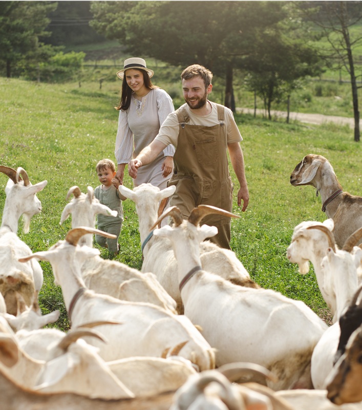 Fête de la transhumance à Florimont Gaumier