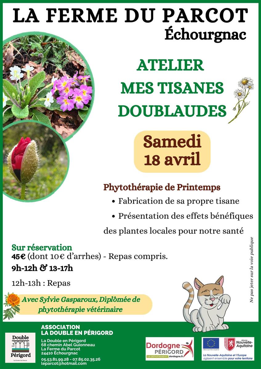 Atelier "Mes tisanes doubleaudes"