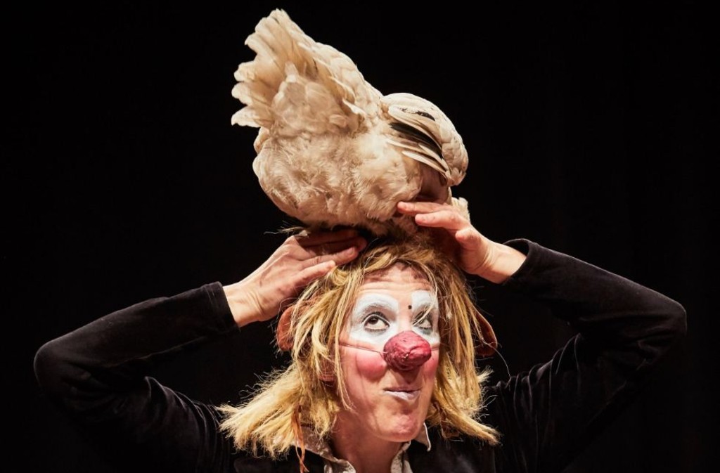 Festival Lalinde s'amuse | Spectacle familial