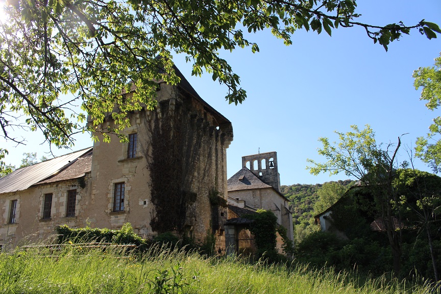 Conférence : Géomorphologie des confluences pa ...