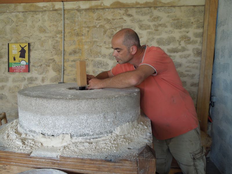 Printemps à la ferme: au Domaine de Rapatel ch ...