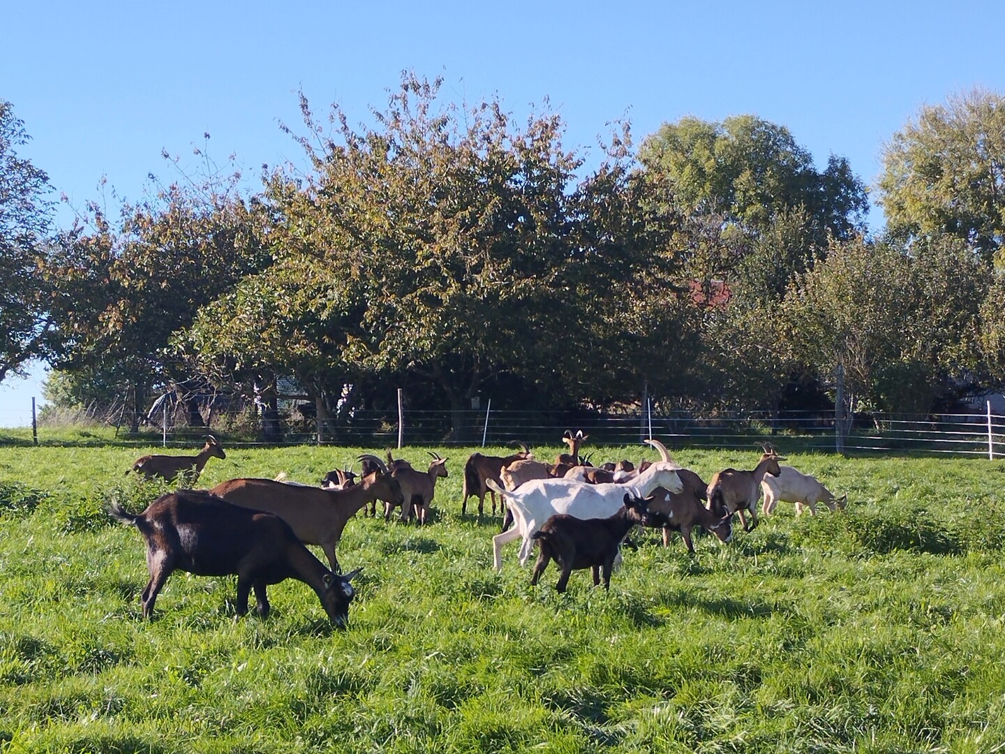 Portes ouvertes à la ferme