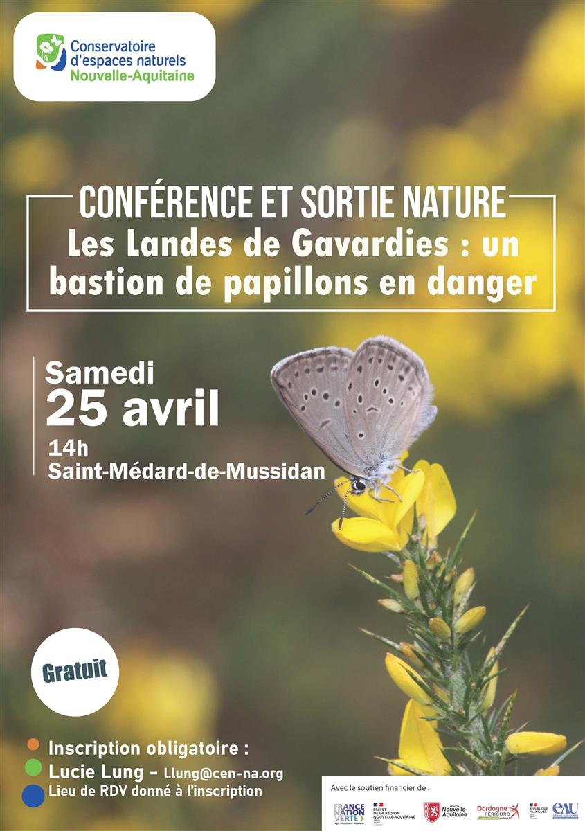 Conférence / sortie nature autour des papillons