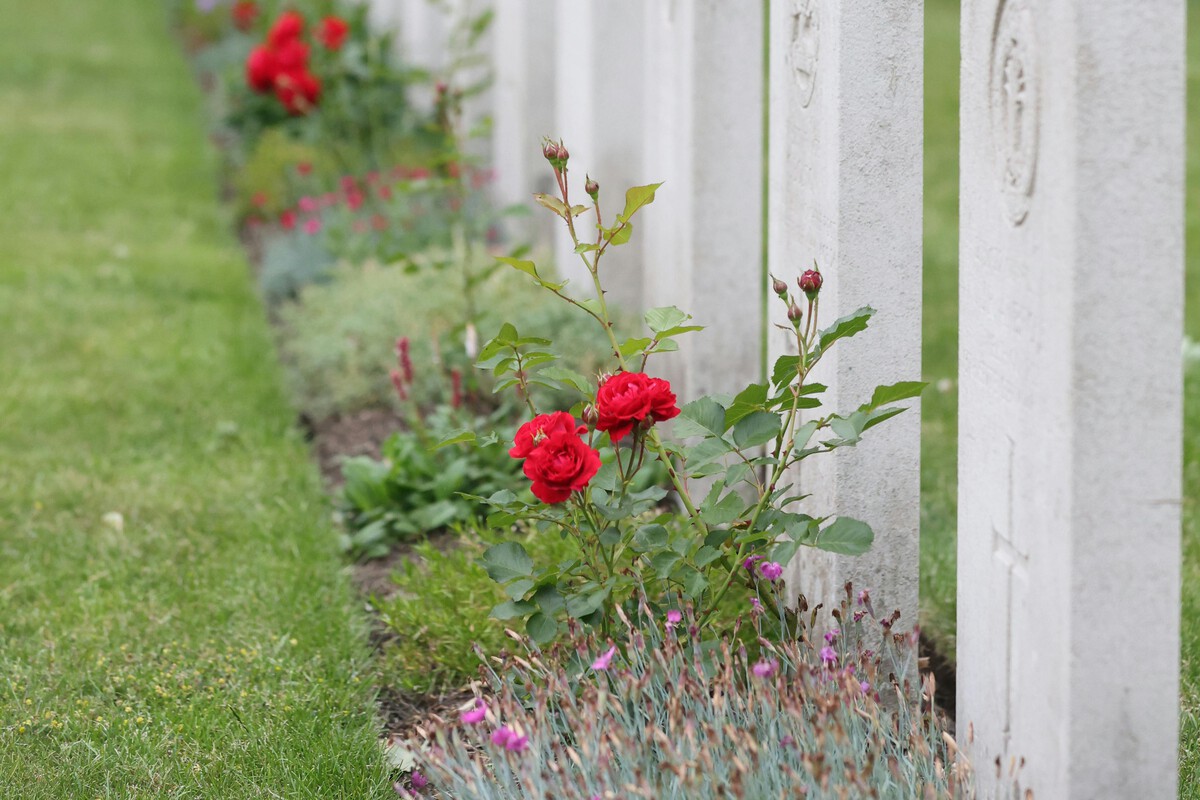 L'œuvre du café : Le printemps des cimetières