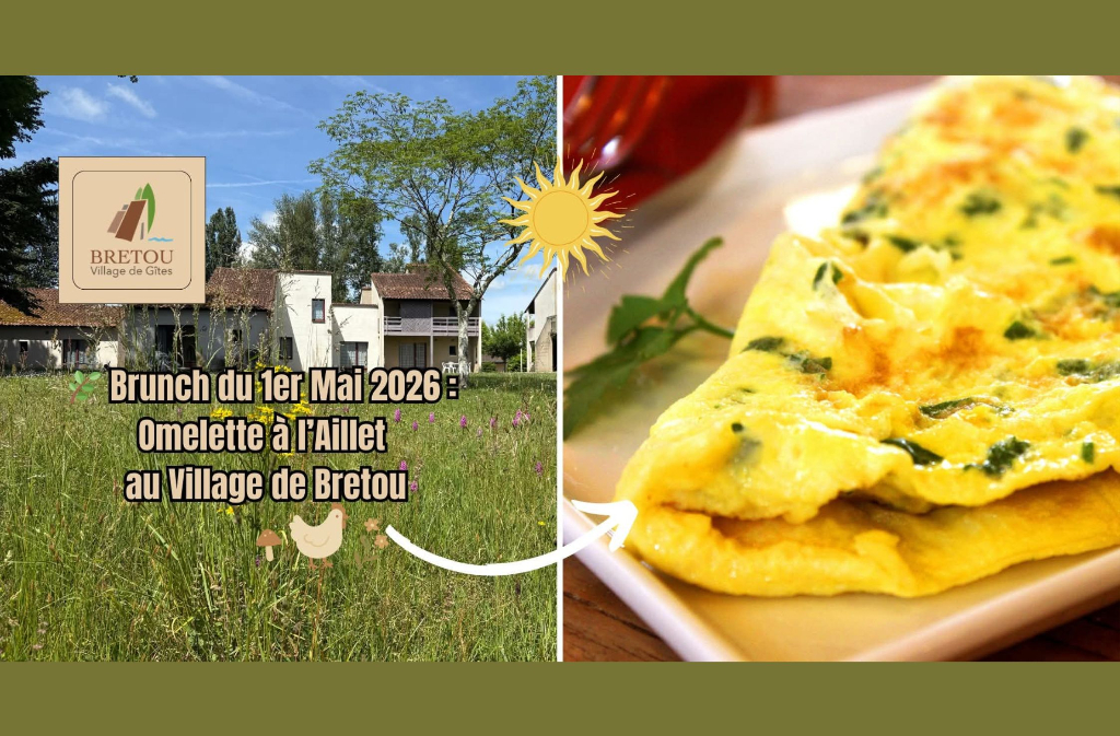 Brunch | Omelette à l'aillet