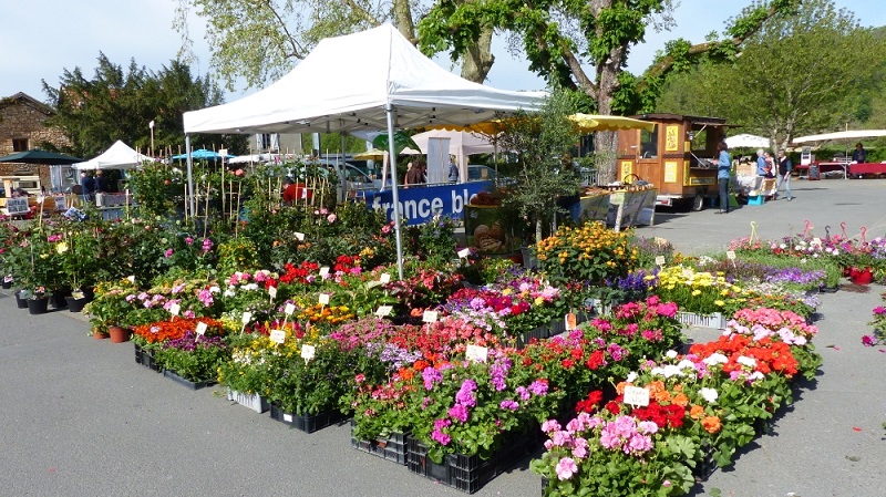 Fête des Fleurs et des plantes - 10ème édition