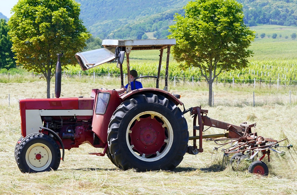 Comice agricole
