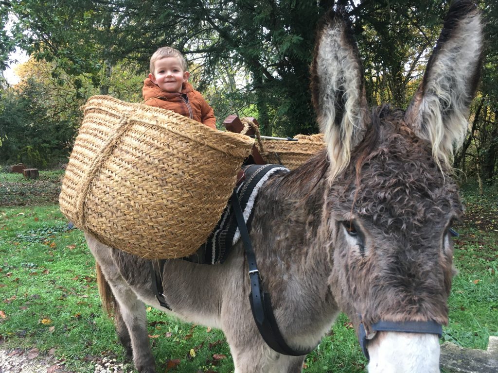 Atelier découverte de l'âne et fabrication de  ...