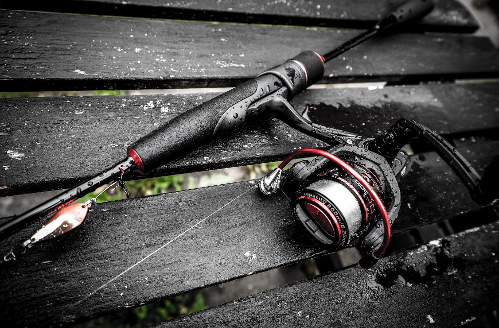 Journée Pêche à la truite