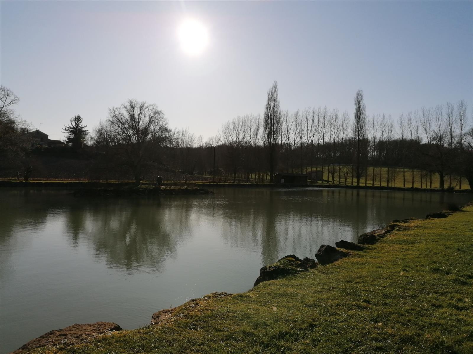 Journée pêche à l'étang
