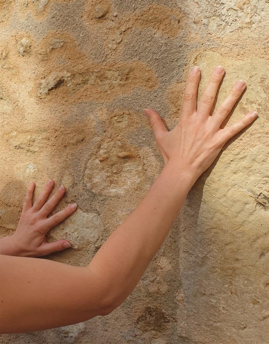 Dans Tous Les Sens De L'Architecture