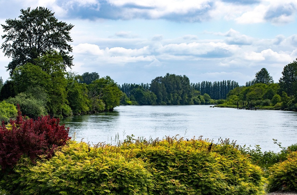 Fête de la Rivière