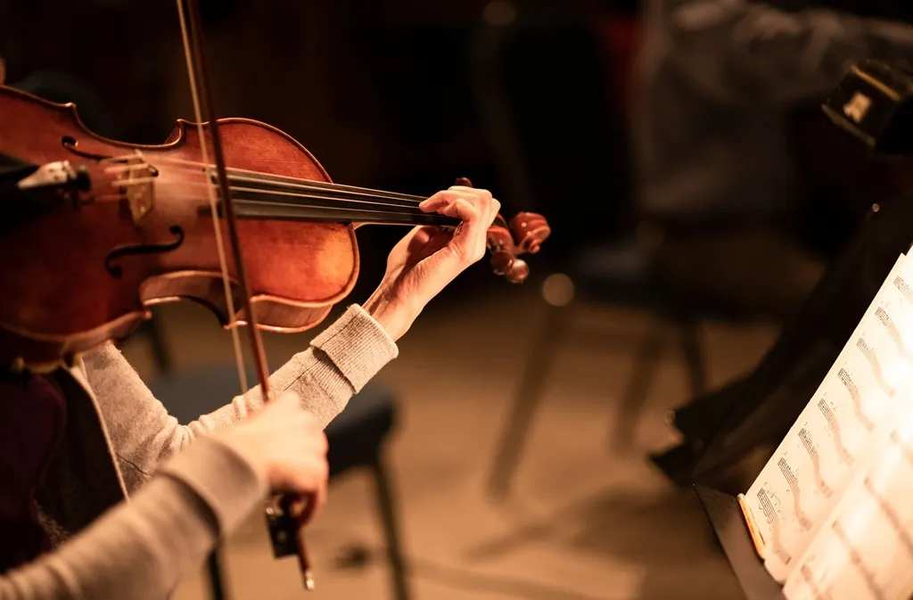 Concert classique - Crédit: Pixabay | CC BY-NC-ND 4.0