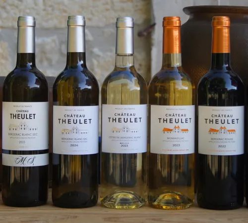 Visite et dégustation de 7 vins - 14h | Vignobles Alard