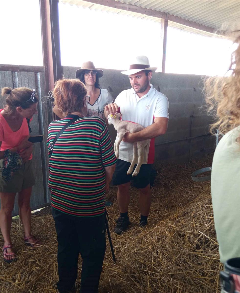 Accueil à la Ferme : Ferme Bovine et Ovine à P ...