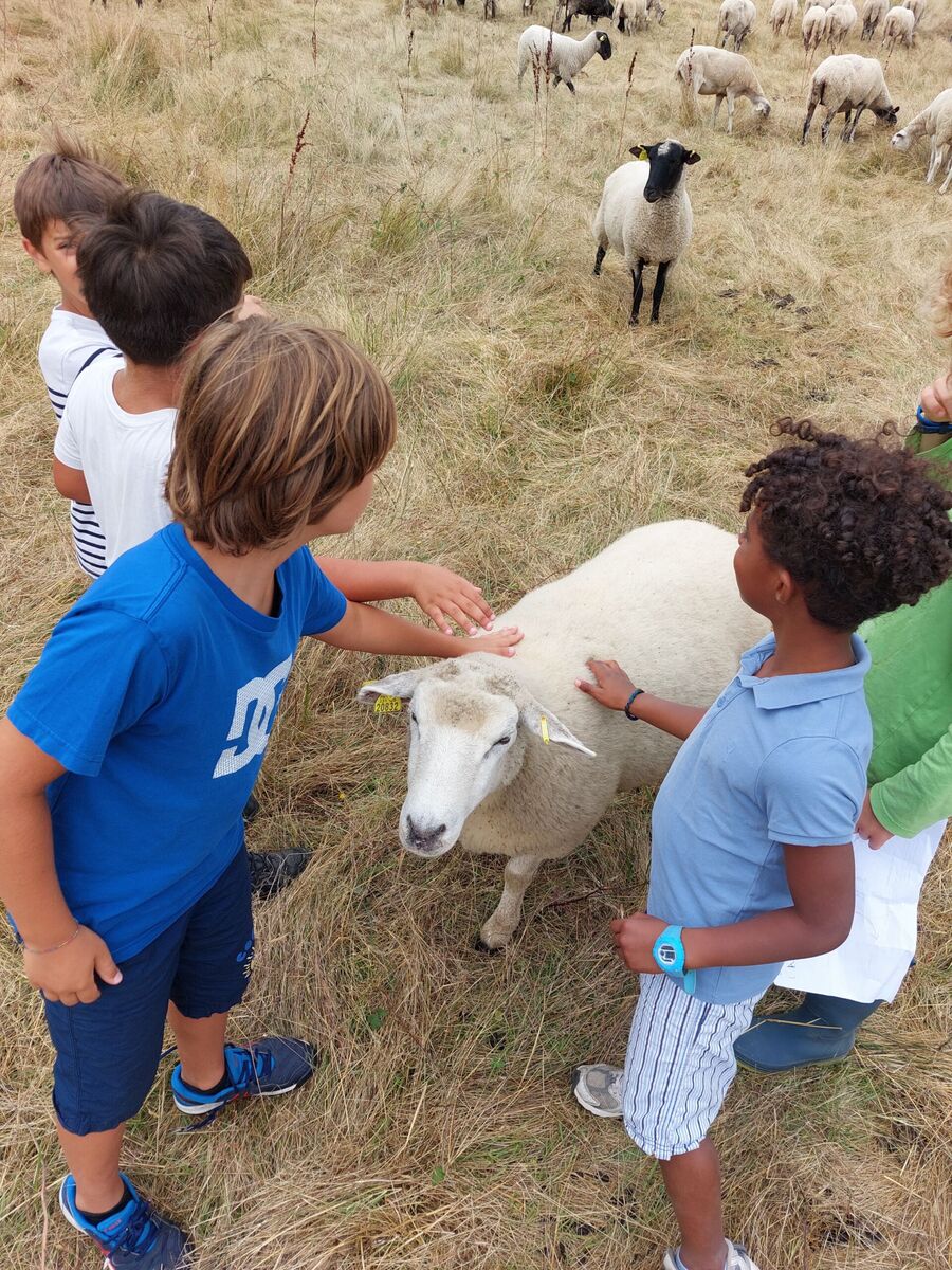 Accueil à la Ferme :Ferme pédagogique avec éle ...