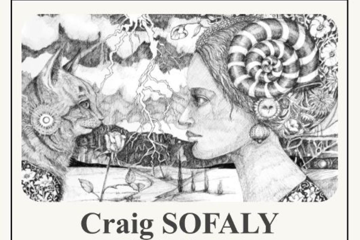 Exposition | Craig Sofaly