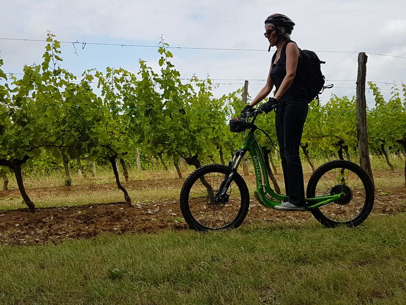 Eté actif | Trottinette électrique tout-terrai ...