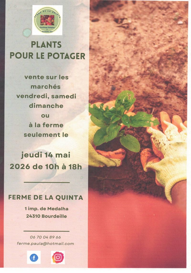 Vente de plants pour le potager