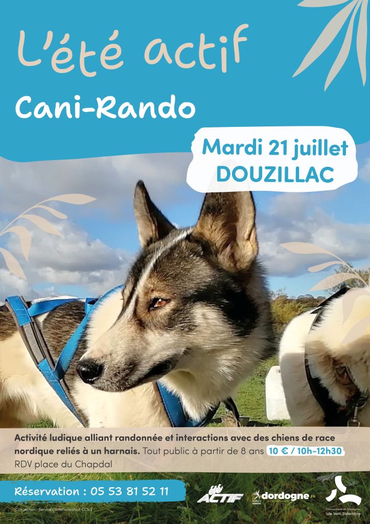 Été actif : Cani-rando