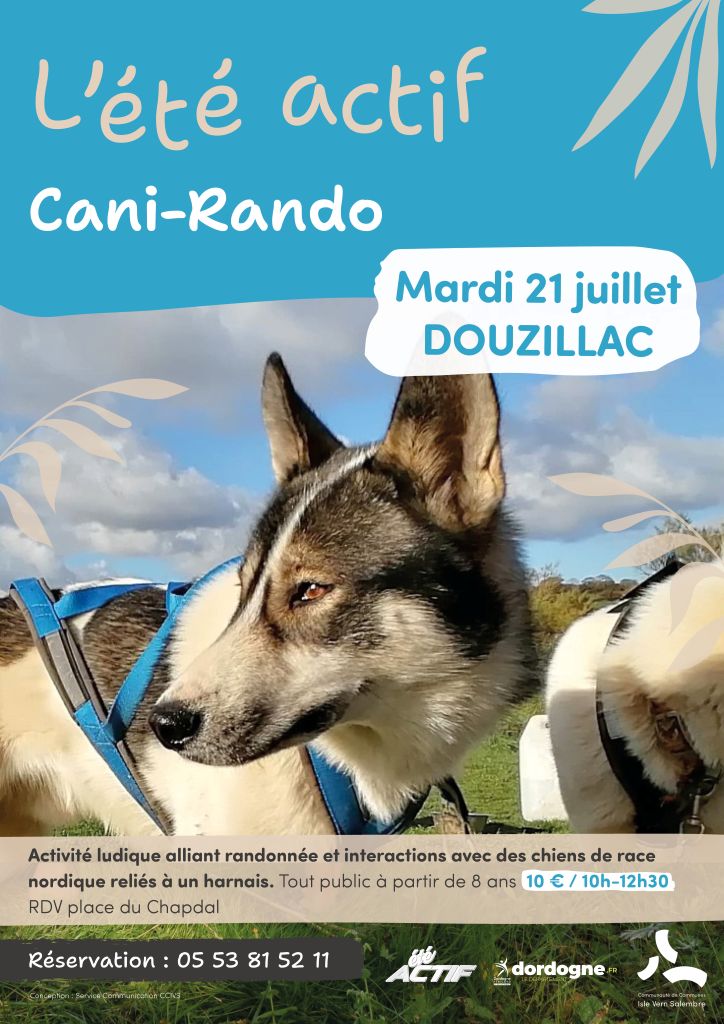 Été actif : Cani-rando