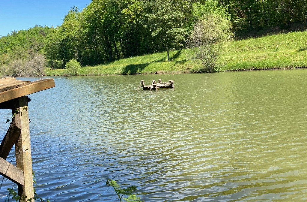 Concours de pêche